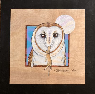 colorful barn owl drawing